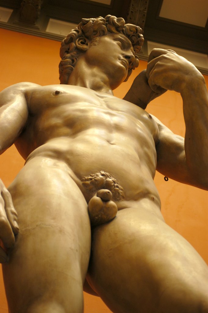 Detail of David, after the 16th century original by Michelangelo by Stuart Cox