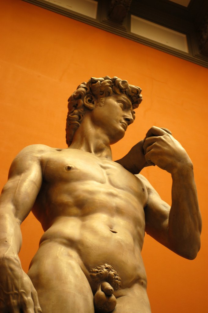 Detail of David, after the 16th century original by Michelangelo by Stuart Cox