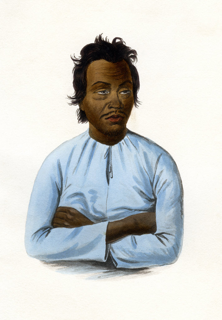 Detail of The Malay by James Prichard