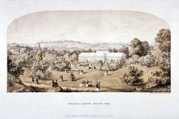 View of the Botanical Gardens in Regents Park, Marylebone, London