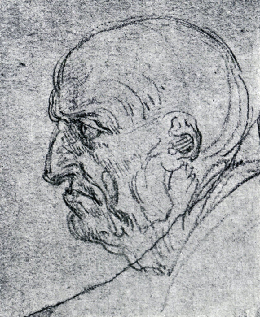Detail of Head of an Old Man by Leonardo Da Vinci