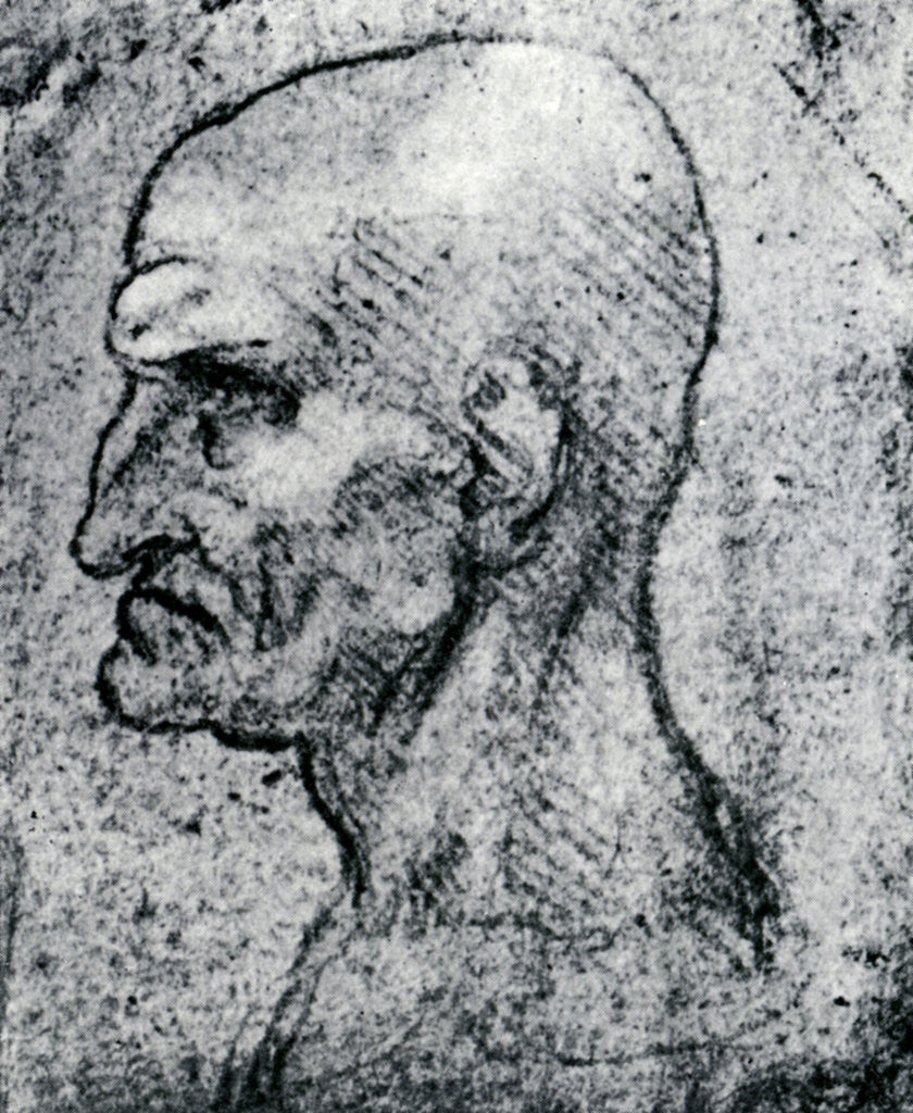 Detail of Head of an Old Man by Leonardo Da Vinci