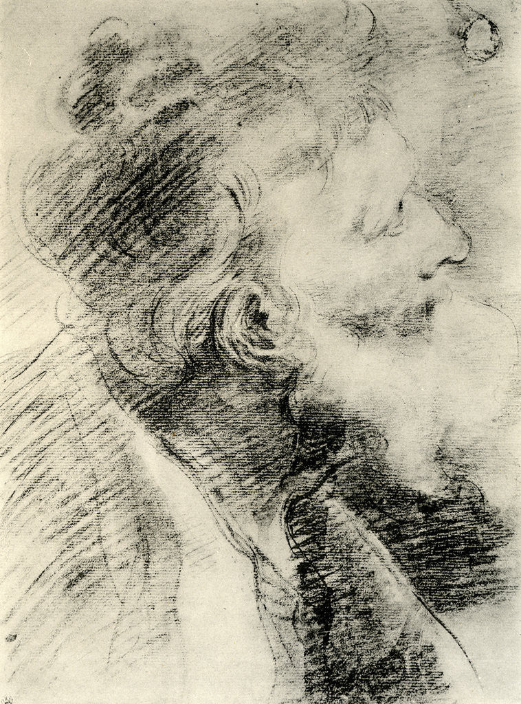 Detail of Study for the Head of an Old Man by Peter Paul Rubens