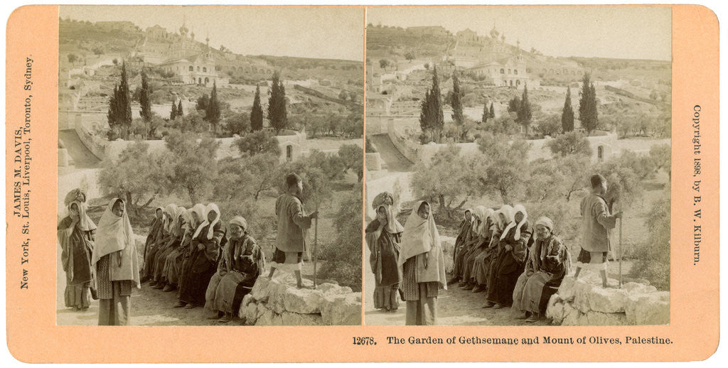 Detail of The garden of Gethsemane and the Mount of Olives, Palestine by BW Kilburn