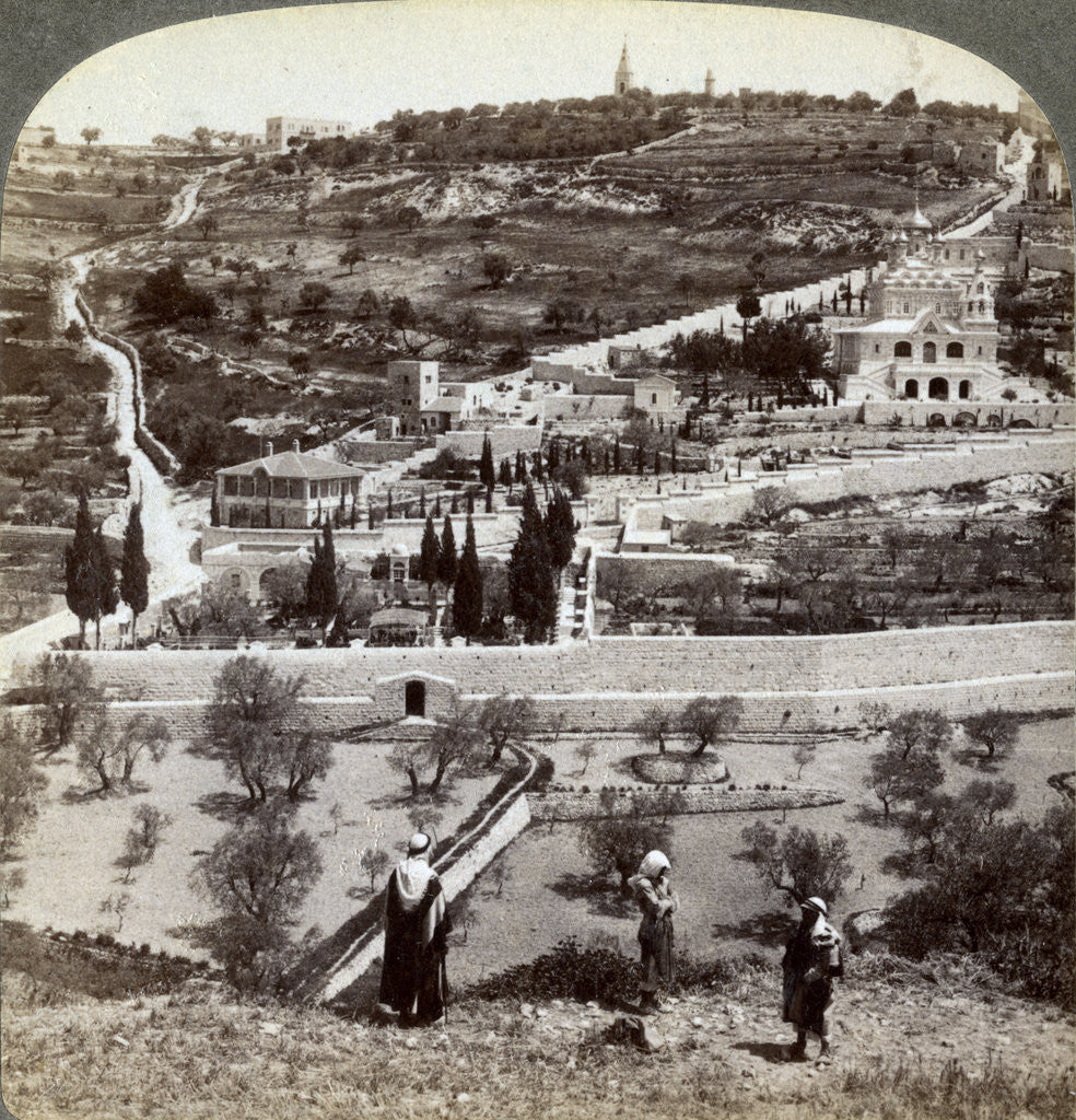 Detail of The Garden of Gethsemane and the Mount of Olives, Palestine by Underwood & Underwood
