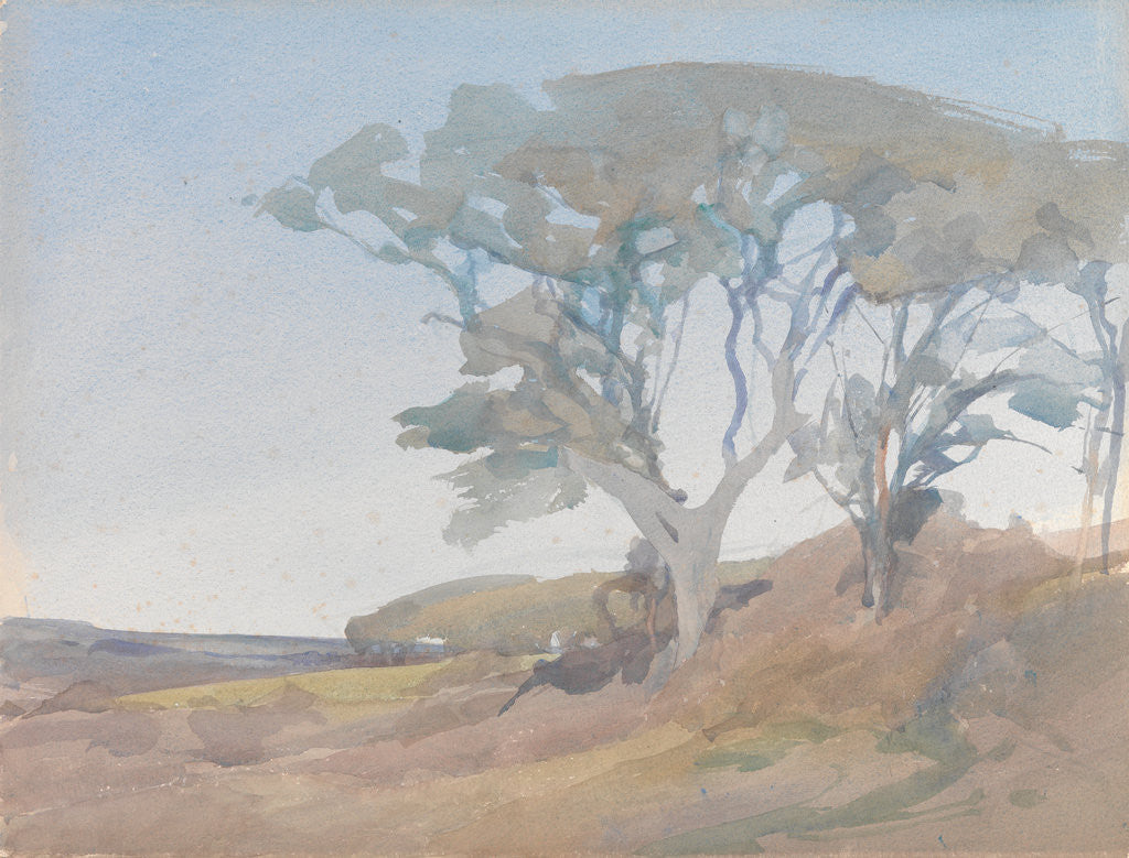 Detail of Trees against a Clear Blue Sky by Archibald Knox