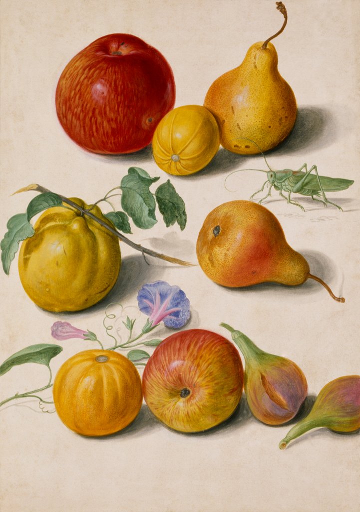 Detail of Watercolour by Johann Jakob Walther