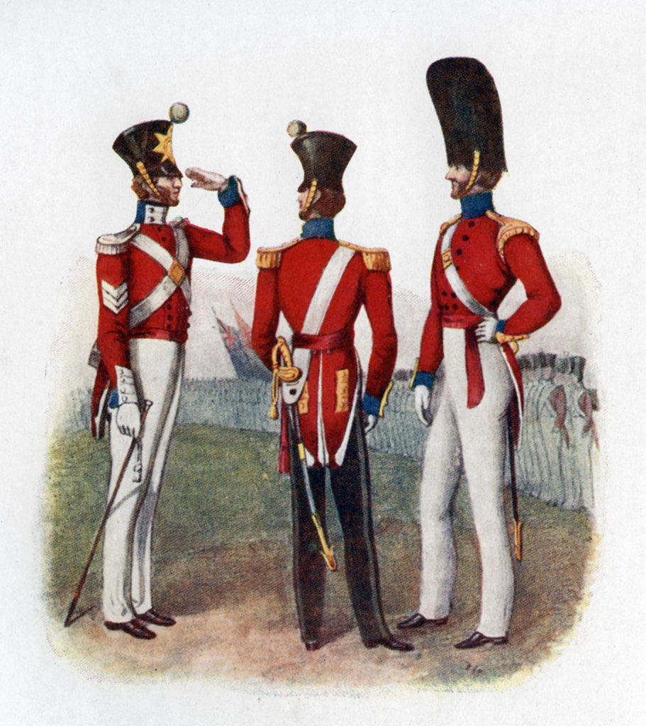 Detail of Uniform of the 86th Regiment by Anonymous