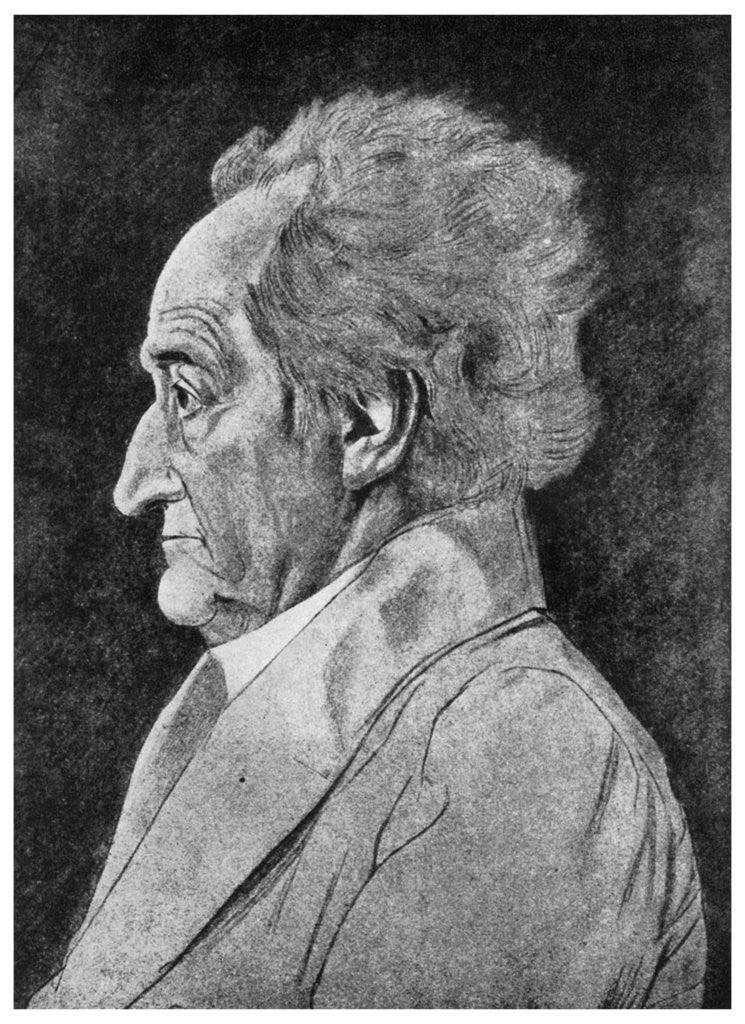 Detail of Goethe, German poet by Anonymous