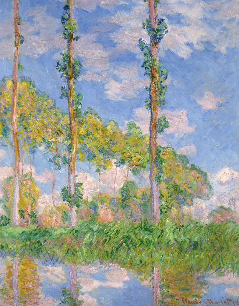 Detail of Poplars in the Sun by Claude Monet