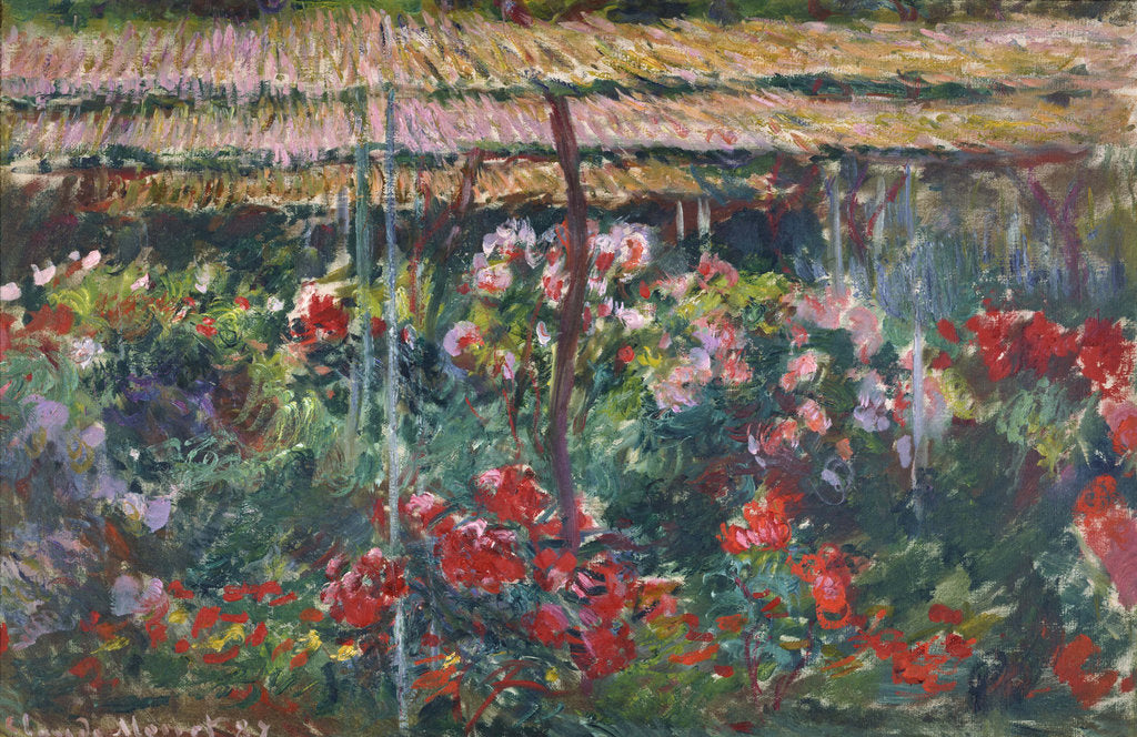 Detail of Peony Garden, 1887 by Claude Monet