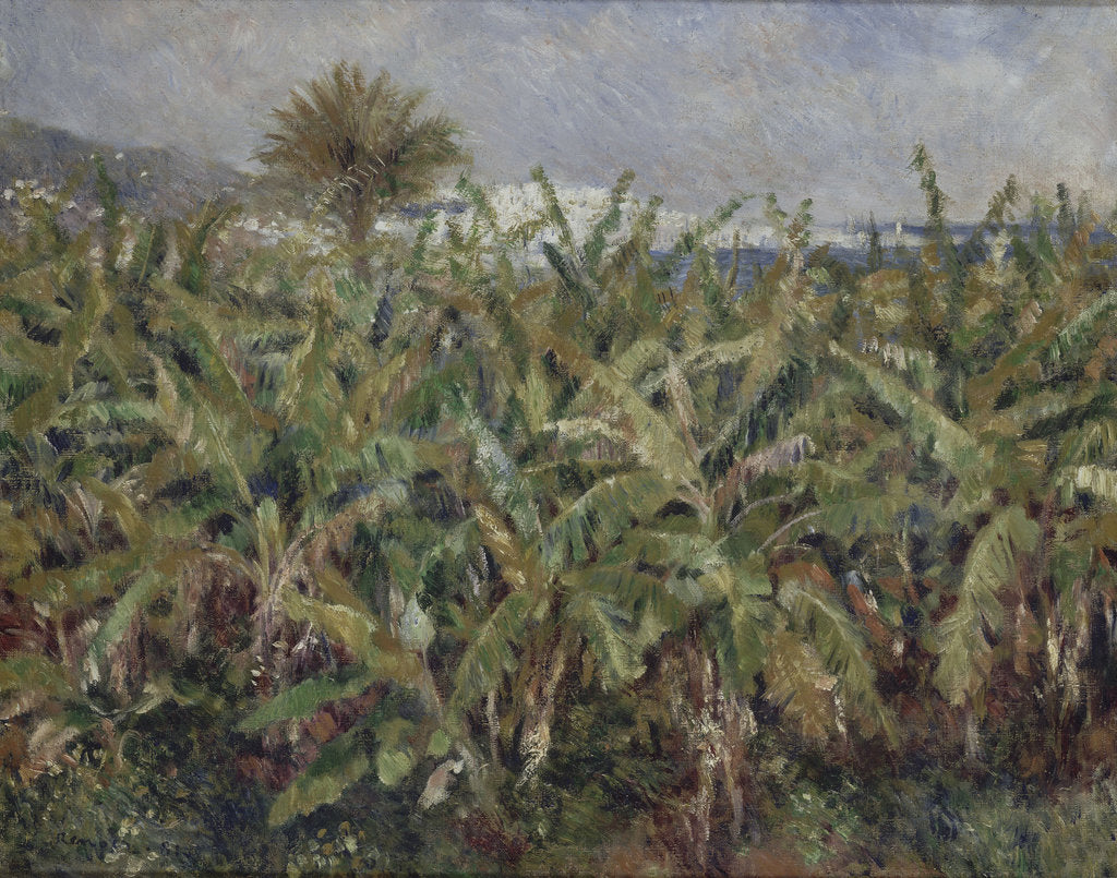 Detail of Field of Banana Trees (Champ de bananiers), 1881 by Pierre Auguste Renoir