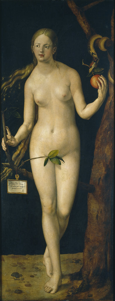 Detail of Eve, 1507 by Albrecht Dürer