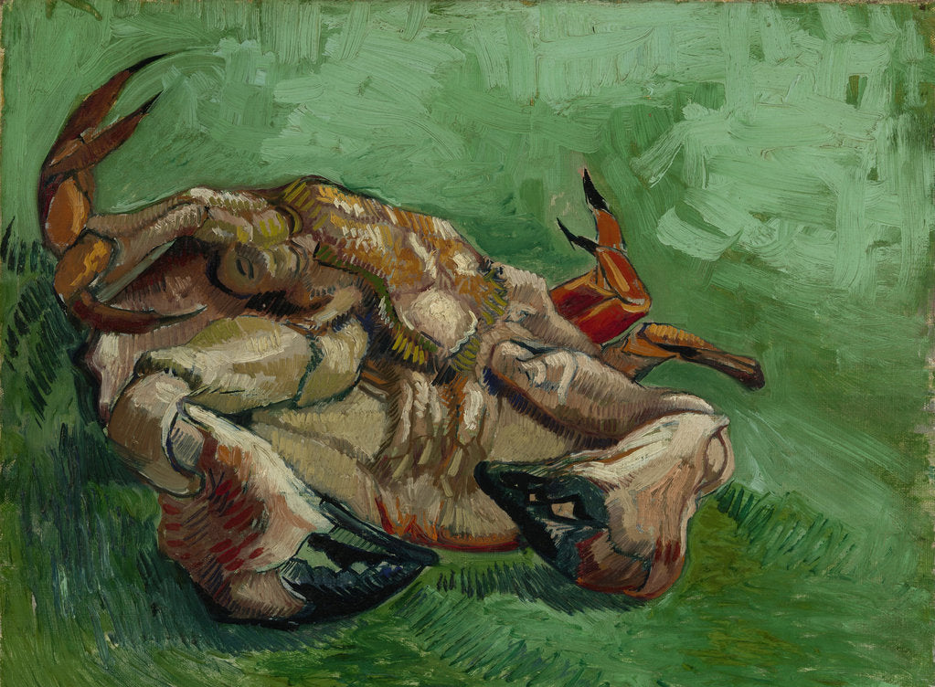 Detail of A crab, lying on his back, 1889 by Vincent van Gogh