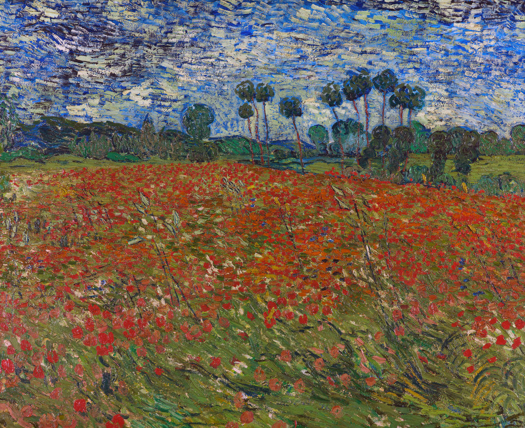 Detail of Poppy field by Vincent Van Gogh