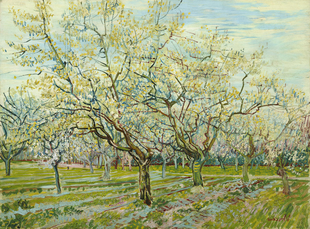 Detail of The white orchard, 1888 by Vincent van Gogh