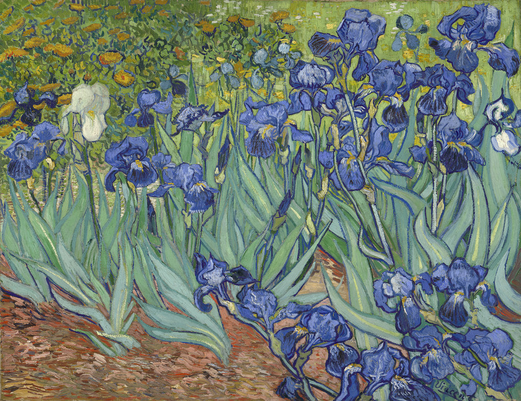 Detail of Irises, 1889 by Vincent van Gogh