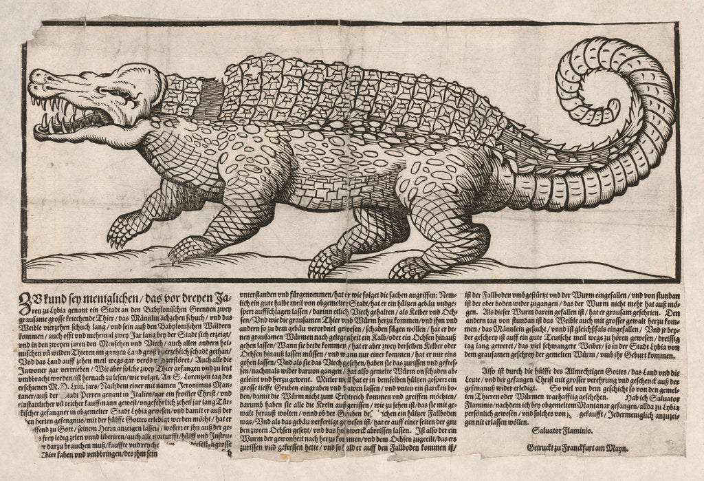 Detail of Popular print with representation of a Crocodile, 1563 by Anonymous