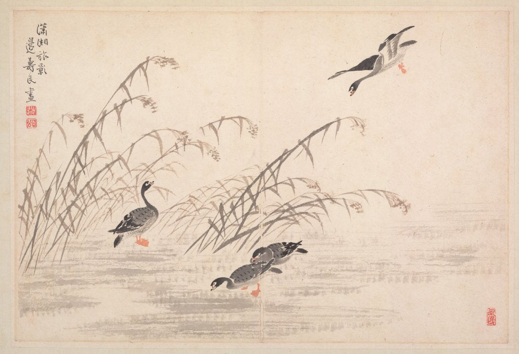 Detail of Album of Calligraphy and Paintings, 18th Century by Bian Shoumin