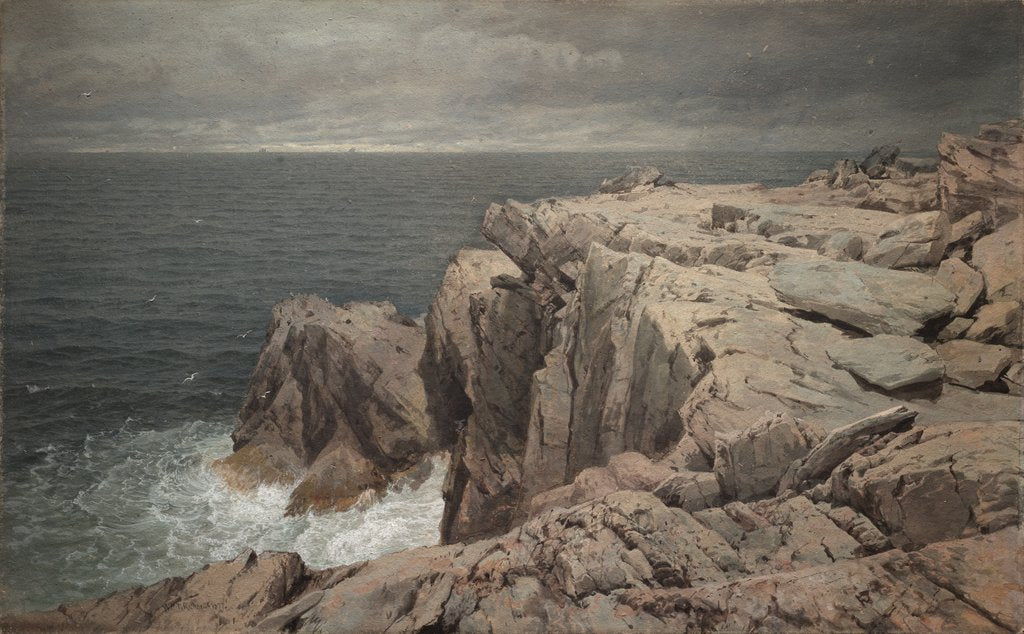 Detail of Cormorant Cliff, Jamestown, Rhode Island, 1877 by William Trost Richards