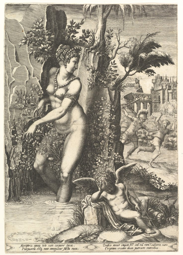 Detail of Venus pricked by the thorns on a rose bush, in the background Mars chasing Adonis, in the …, 1556 by Giorgio Ghisi
