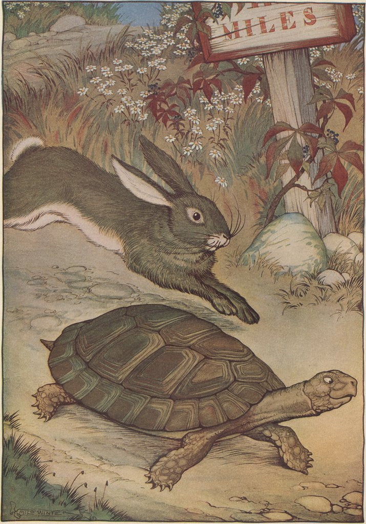 Detail of The Hare and the Tortoise by Milo Winter