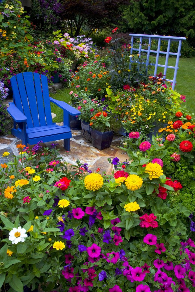 Detail of Backyard Flower Garden With Chair by Corbis