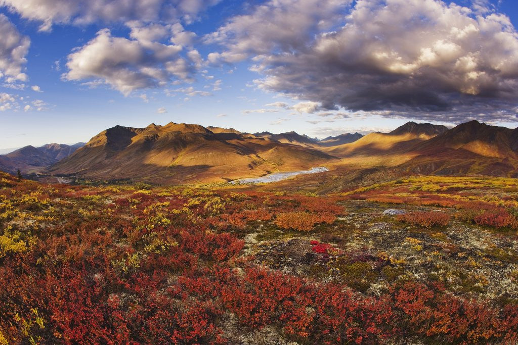 Detail of Mountains in fall colors by Corbis