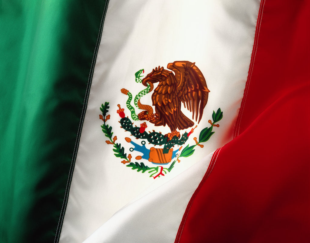 Detail of Mexican flag by Corbis