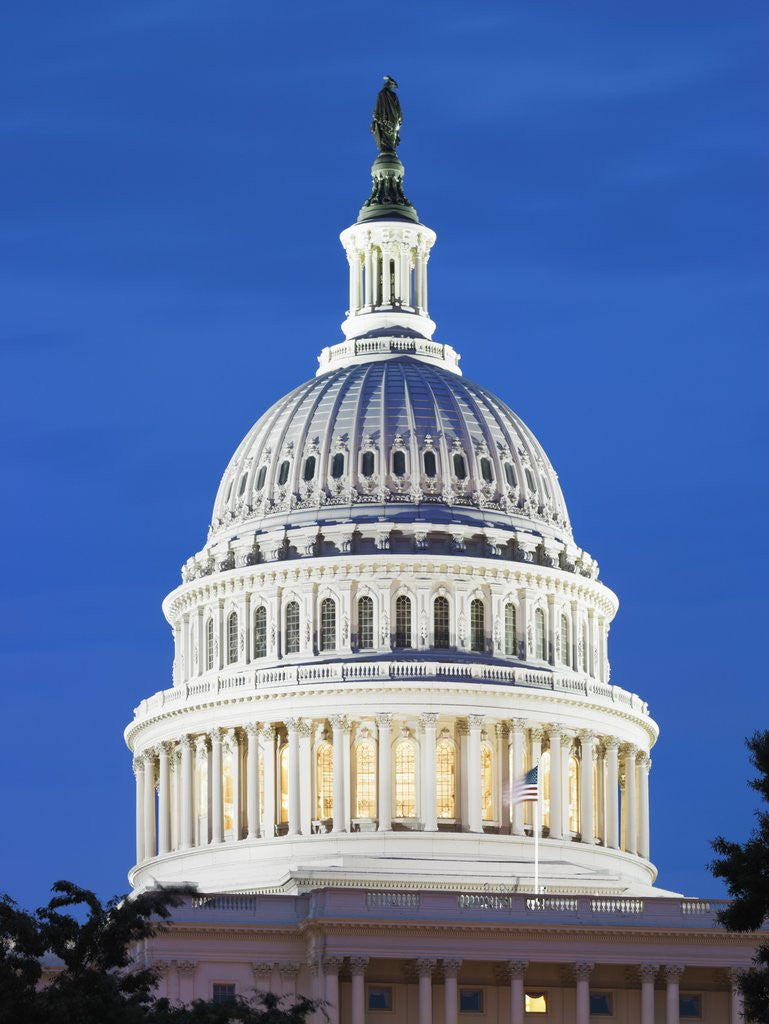 Detail of U.S. Capitol dome by Corbis