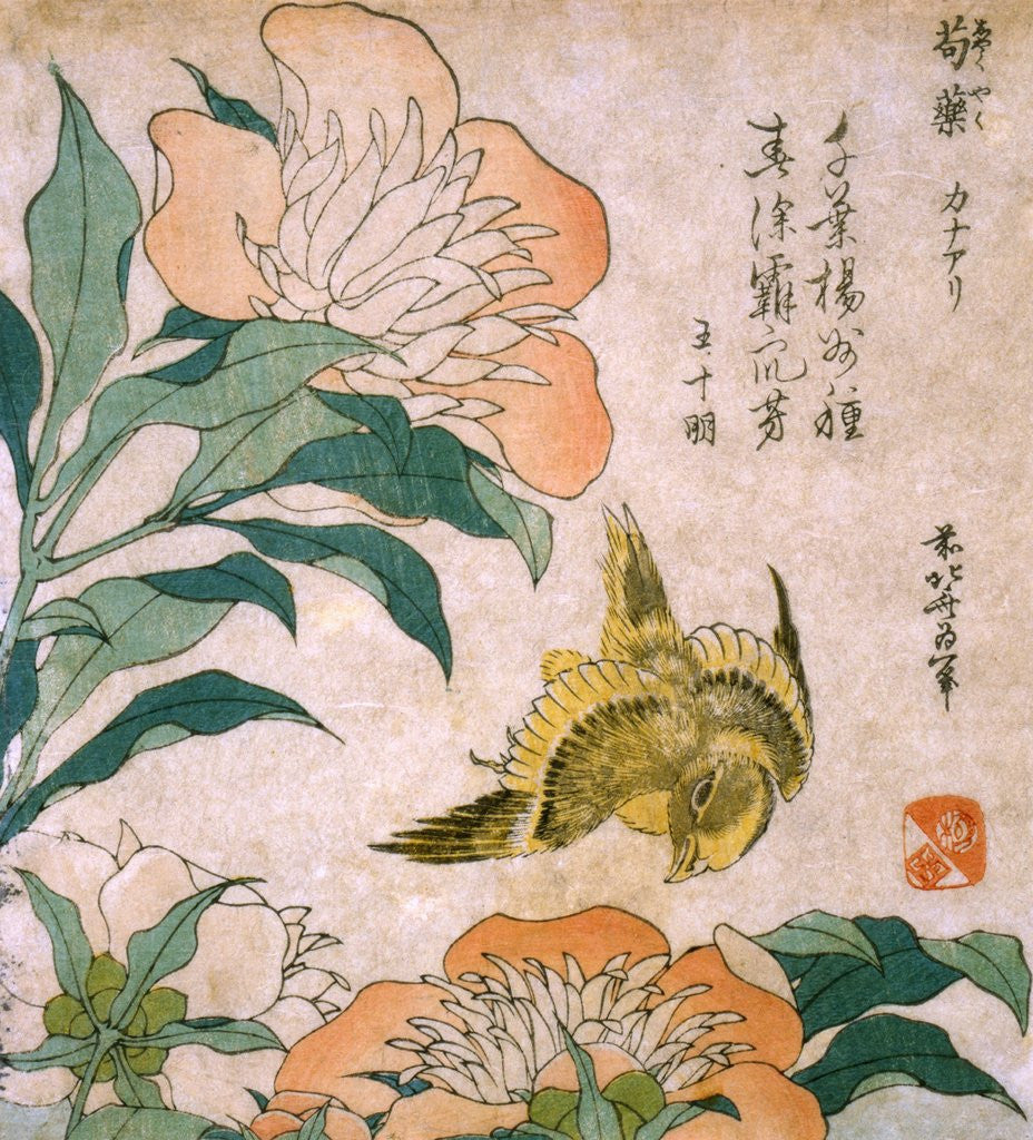 Detail of Peony and Canary by Katsushika Hokusai