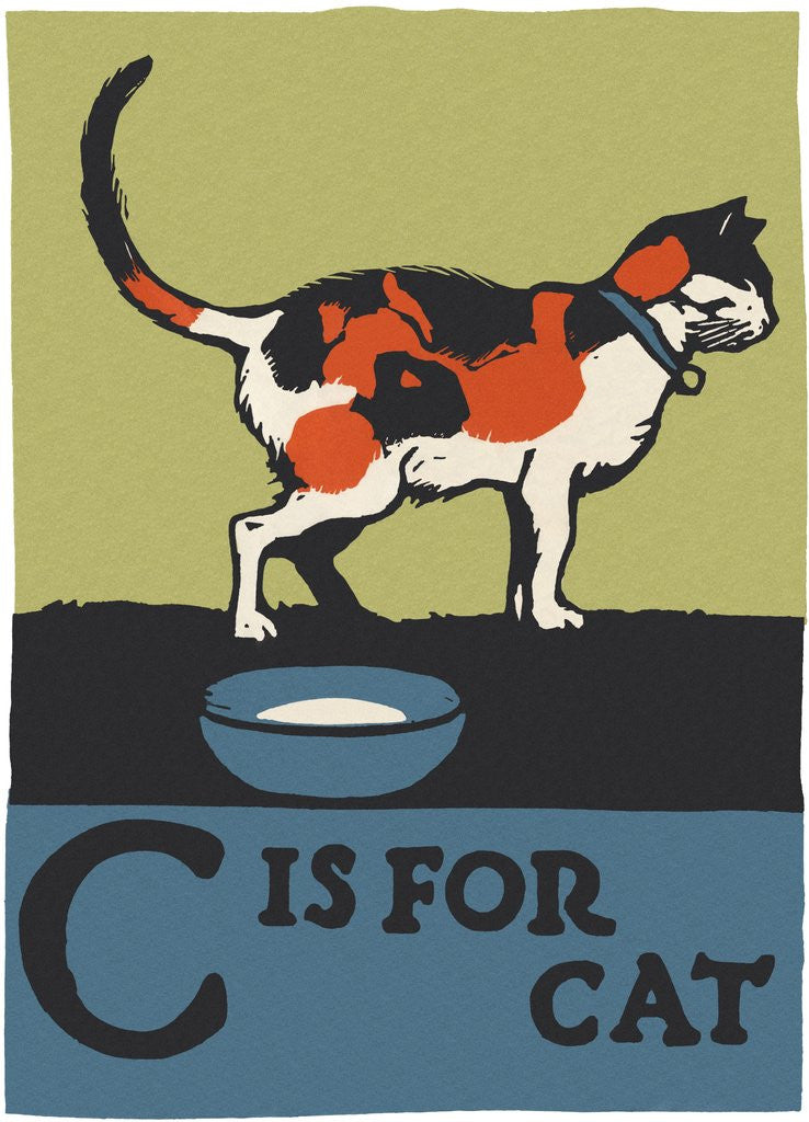 Detail of C is for cat by Corbis