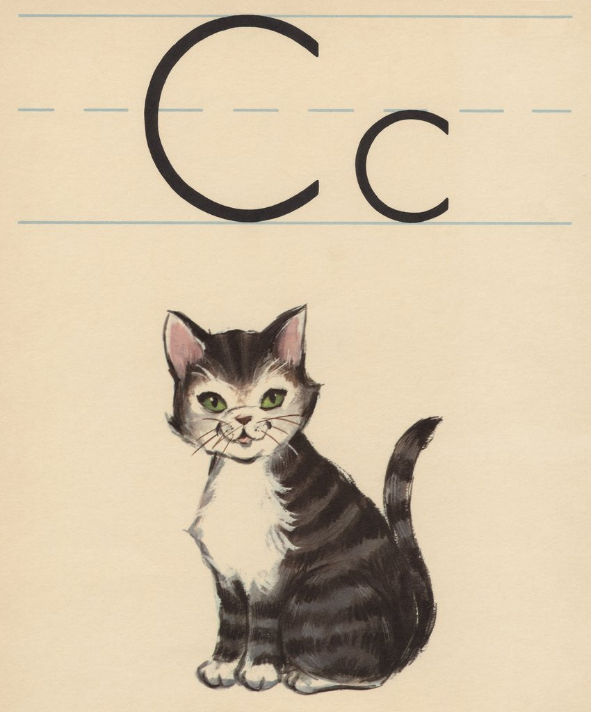 Detail of C is for cat by Corbis