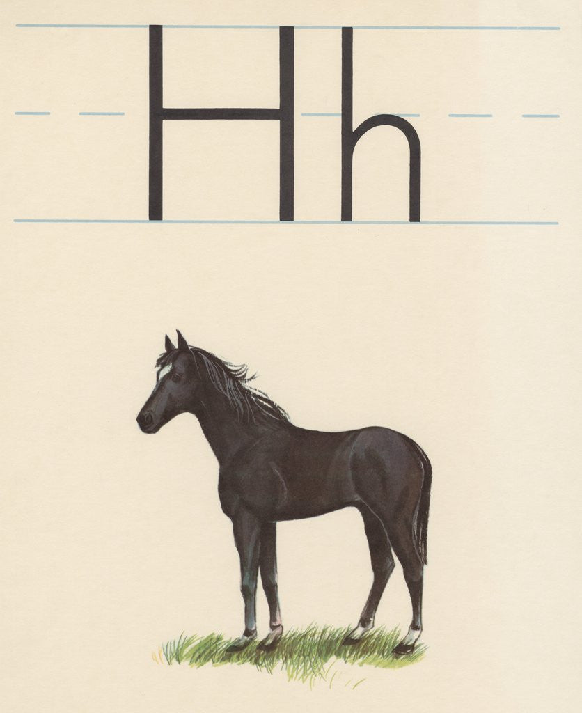 Detail of H is for horse by Corbis