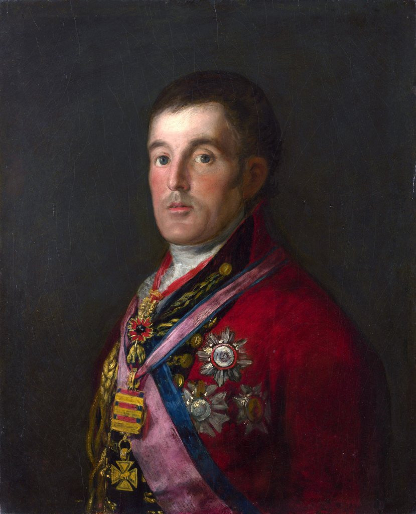 Detail of The Duke of Wellington by Francisco de Goya