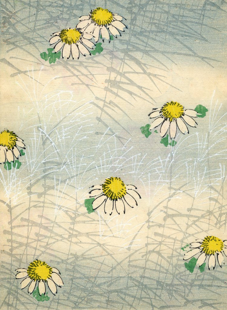 Detail of Woodblock print of daisy blossoms and grass by Corbis