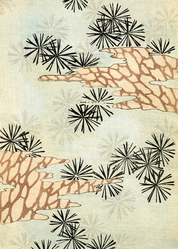 Detail of Woodblock print of pine needles and branches by Corbis
