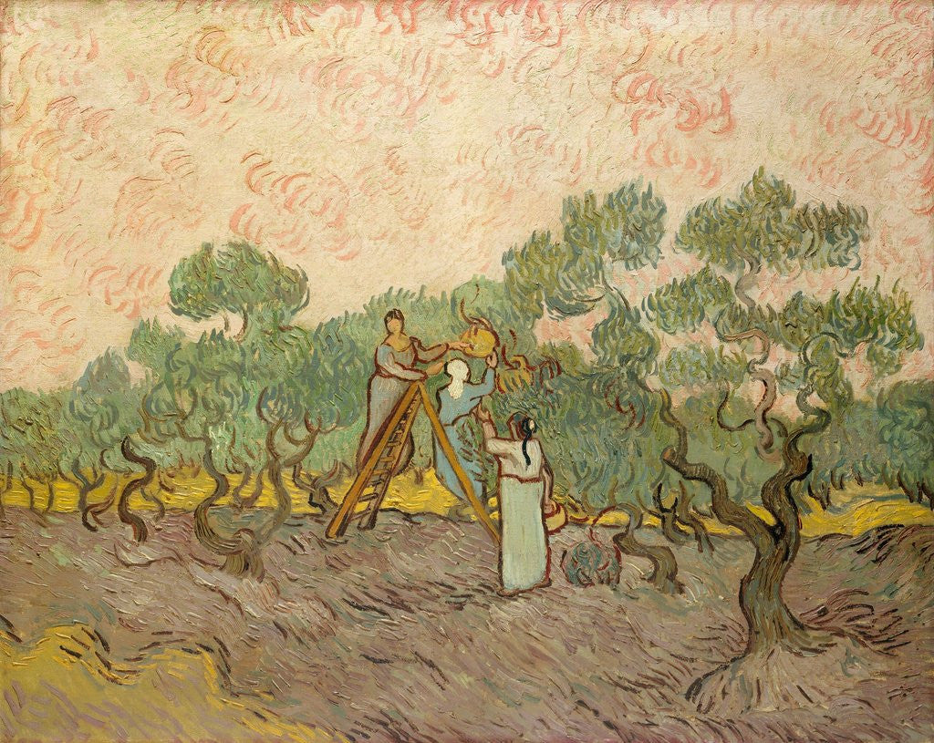 Detail of Women Picking Olives by Vincent Van Gogh
