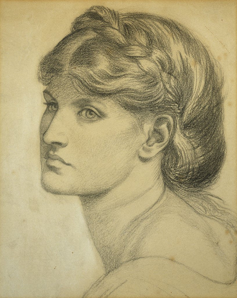 Detail of Study of a Head for 'The Bower Meadow' by Dante Gabriel Rossetti
