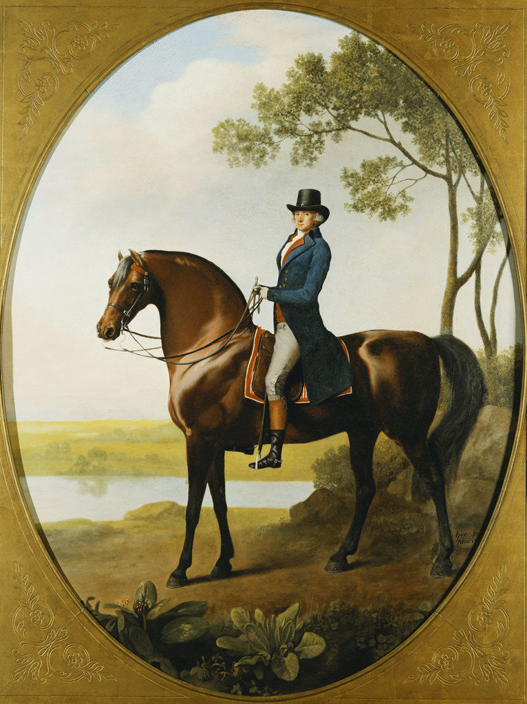 Detail of Portrait of Warren Hastings, Small Full Length, on His Celebrated Arabian, Wearing a Blue Coat and Grey Breeches, in a Landscape by George Stubbs