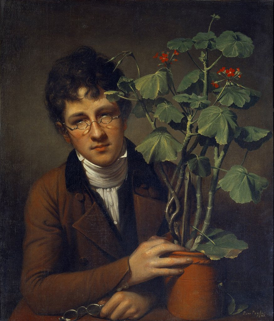 Detail of Rubens Peale With a Geranium by Rembrandt Peale