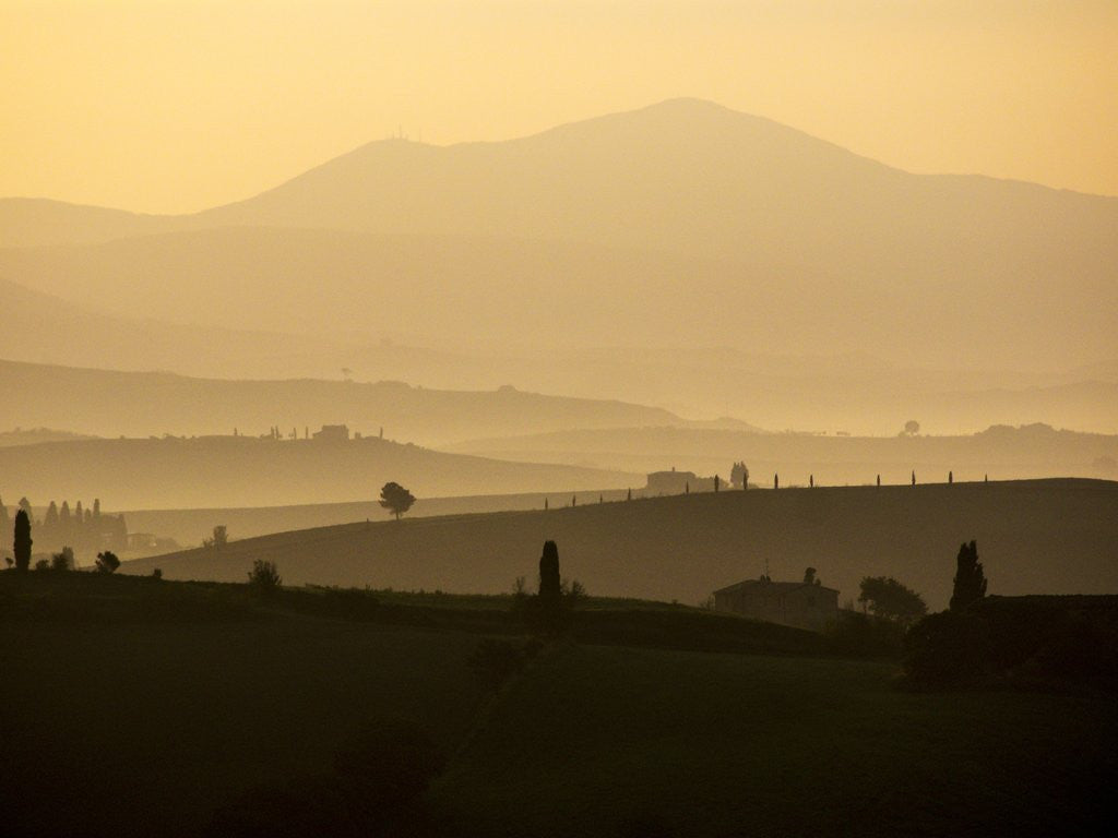 Detail of Morning light over the Tuscan landscape by Corbis