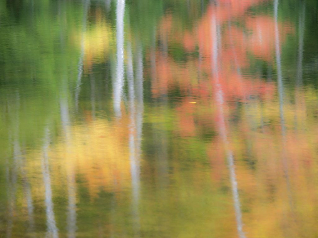 Detail of A reflection of a panned motion blur of autumn woodland. by Corbis