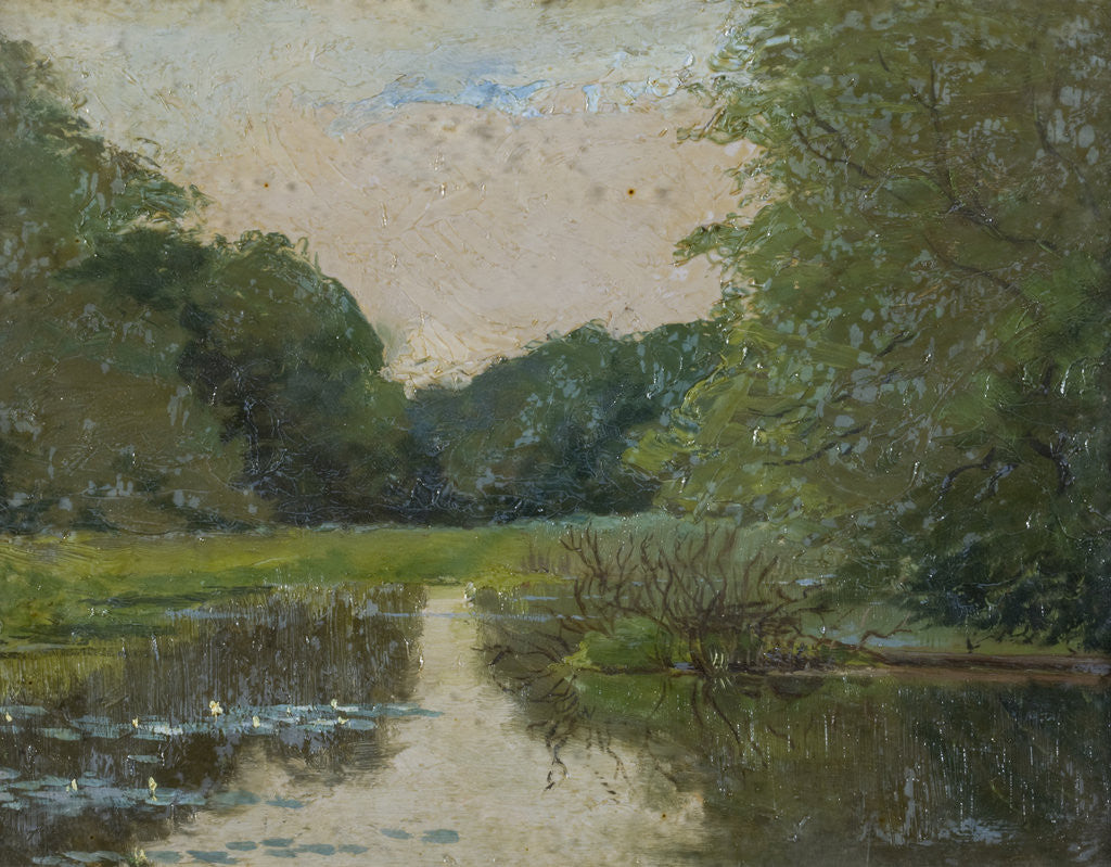 Detail of View of a lily pond in a woodland by Anonymous
