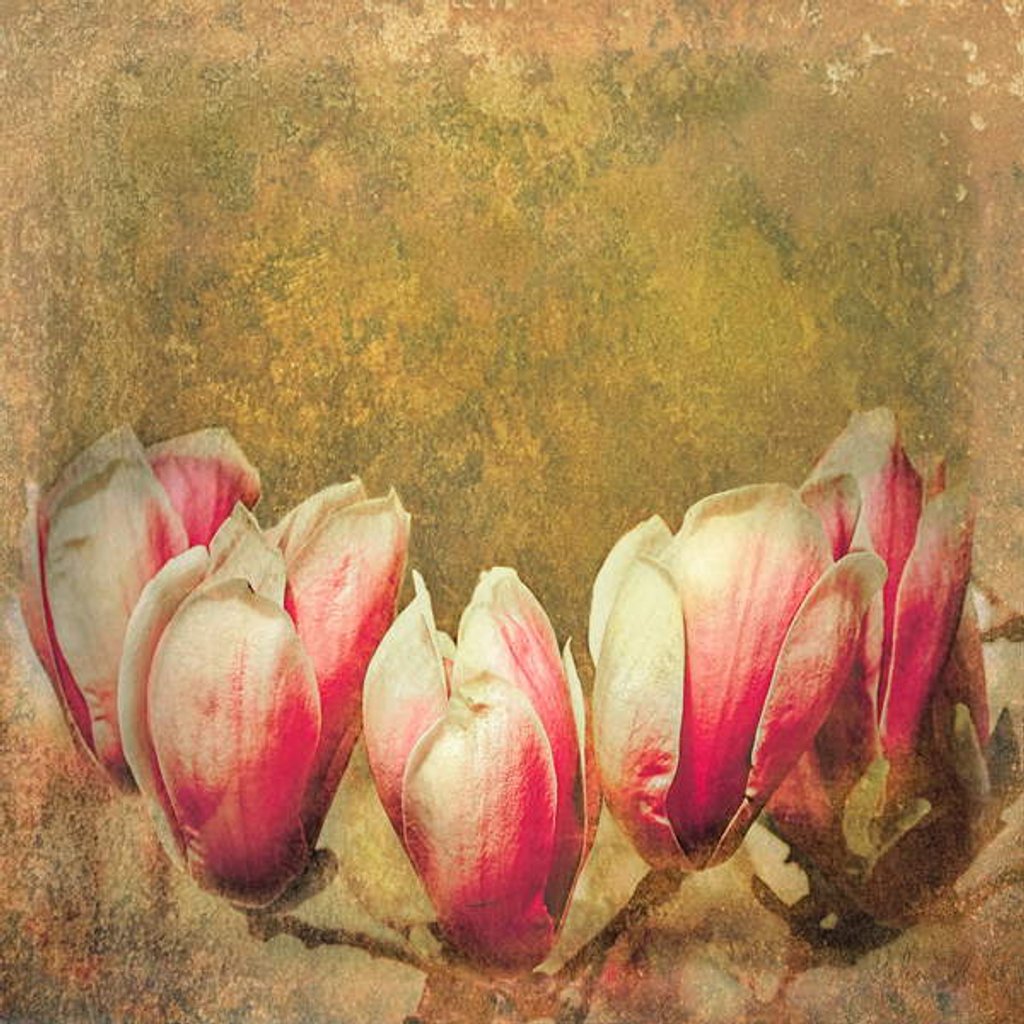 Detail of Vintage Magnolia; 2019 by Helen White