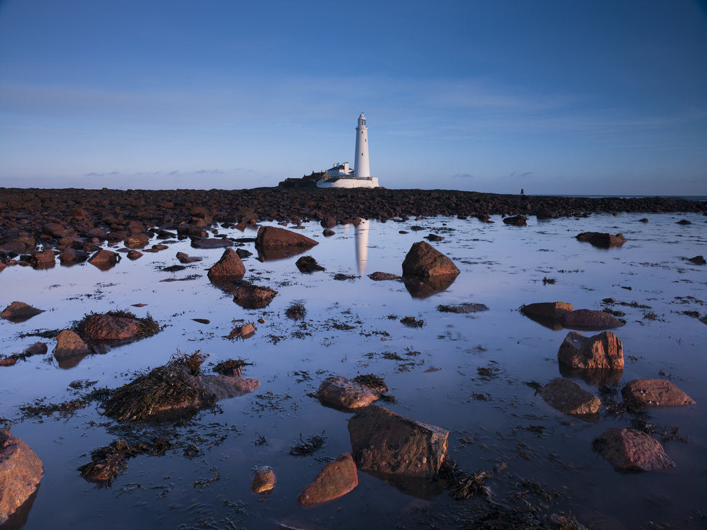 Detail of St Mary's lighthouse, over rocky shoreline by Assaf Frank