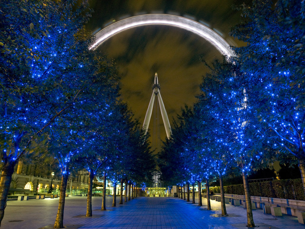 Detail of London Eye at night by Assaf Frank
