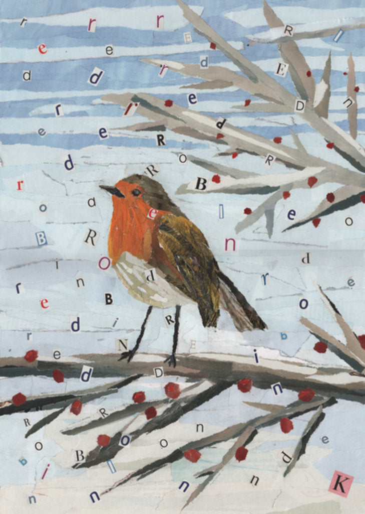 Detail of Red, Red Robin, 2014 by Kirstie Adamson