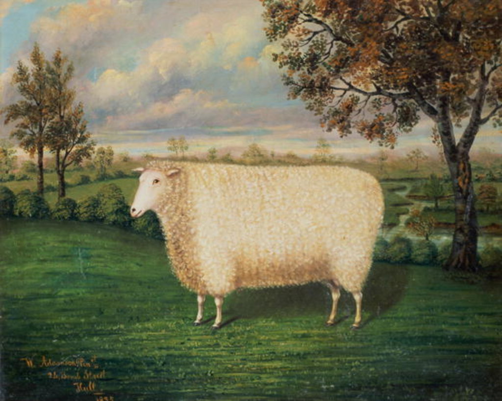 Detail of A Prize Sheep of the Old Lincoln Breed, 1835 by W. Adamson