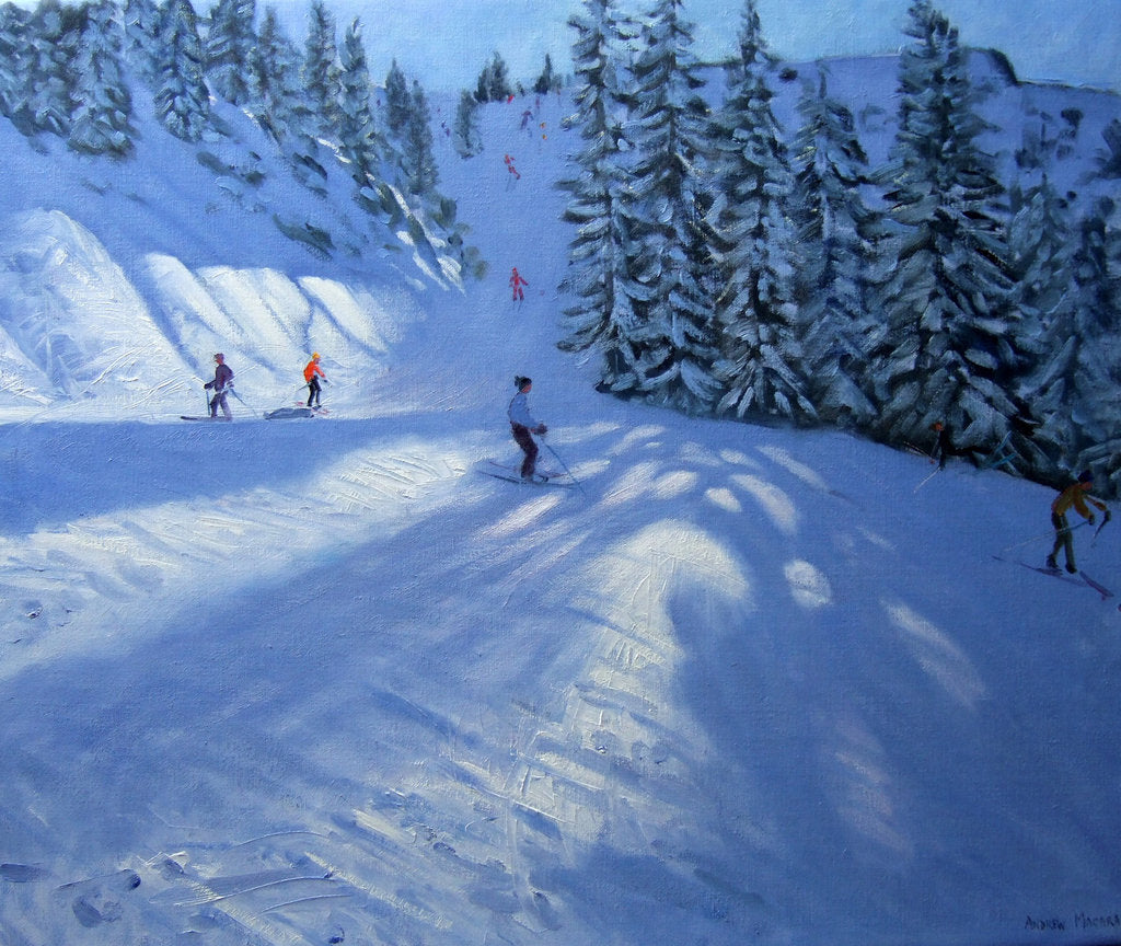 Detail of Morzine, ski run by Andrew Macara